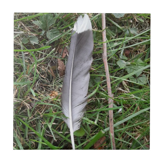 Azulejo cerâmico de penas (Frente)