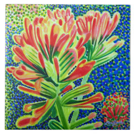 Azulejo cerâmico de pincel indiano, CA Native Plan