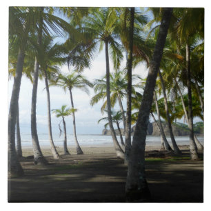 Azulejo Cerâmico de Praia Sàmara