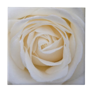 Azulejo cerâmico de rosa branco