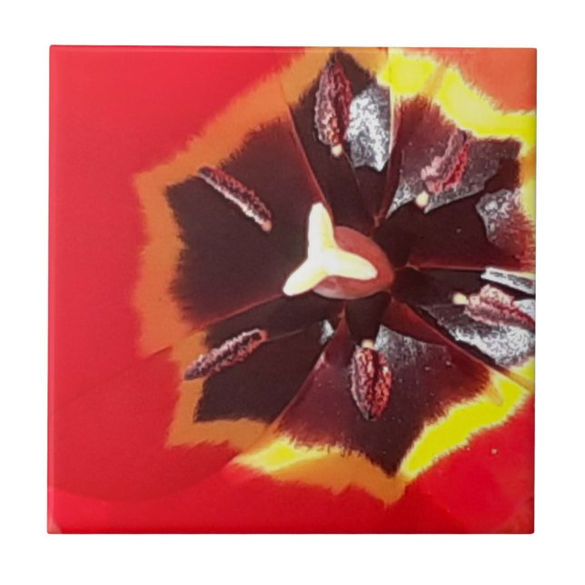 Azulejo Cerâmico de Tulipas Vermelhas Escarlate (Frente)