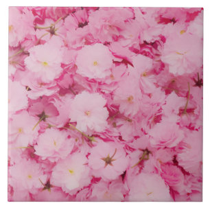 Azulejo Cerâmico Flor de Cerejeira Rosa Botânico
