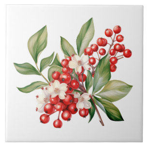 Azulejo Cerâmico Floral de Frutas Vermelhas de Fer