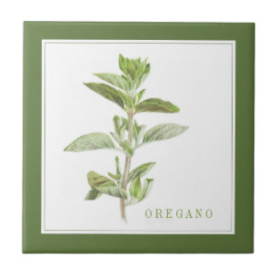 Azulejo cerâmico FRESCO OREGANO 4.25 (texto) Verde