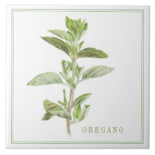 Azulejo cerâmico FRESCO OREGANO 6x6 (+texto)