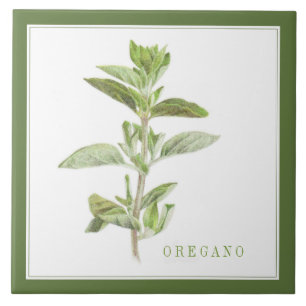 Azulejo cerâmico FRESCO OREGANO 6x6 (+texto) Verde