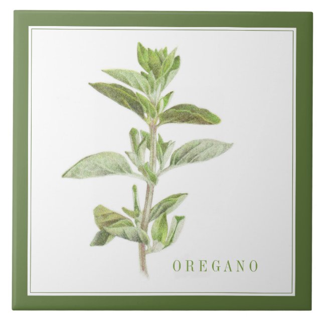 Azulejo cerâmico FRESCO OREGANO 6x6 (+texto) Verde (Frente)