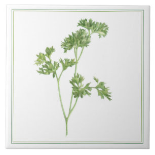 Azulejo cerâmico FRESH PARSLEY 6x6 (-text)