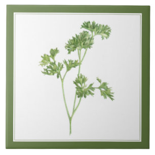 Azulejo cerâmico FRESH PARSLEY 6x6 (-text) Verde