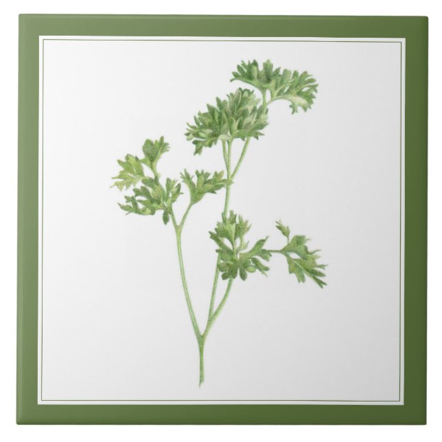 Azulejo cerâmico FRESH PARSLEY 6x6 (-text) Verde (Frente)