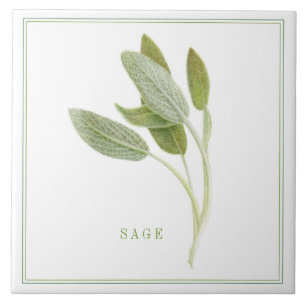 Azulejo cerâmico FRESH SAGE 6"x6" (+texto)