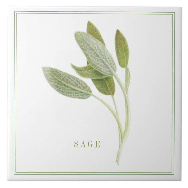 Azulejo cerâmico FRESH SAGE 6"x6" (+texto) (Frente)