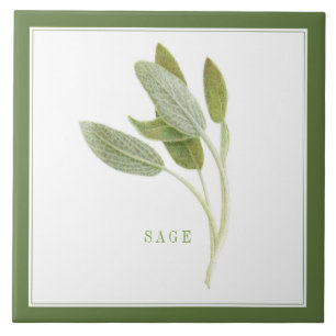 Azulejo cerâmico FRESH SAGE 6"x6" (+texto) Verde