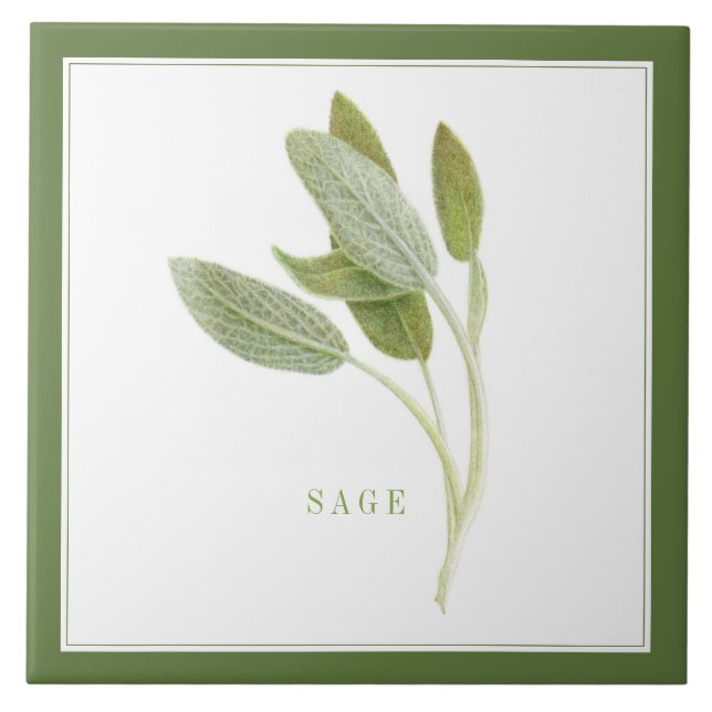 Azulejo cerâmico FRESH SAGE 6"x6" (+texto) Verde (Frente)