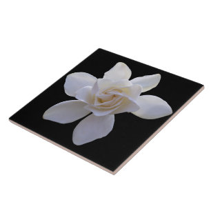 Azulejo cerâmico - Gardenia a preto
