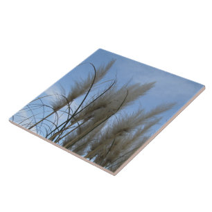 Azulejo cerâmico - Grama Pampas