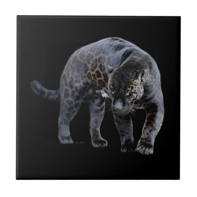 Azulejo cerâmico Jaguar Diablo (Frente)
