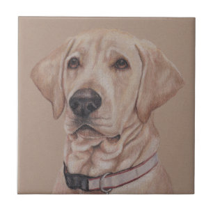 Azulejo cerâmico Labrador Retriever Pet Dog