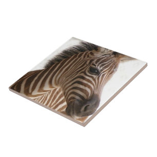 Azulejo Cerâmico Listra de Zebra Marrom