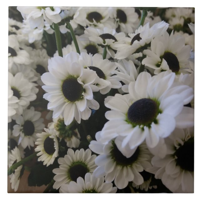 Azulejo cerâmico - margarida negra e branca (Frente)