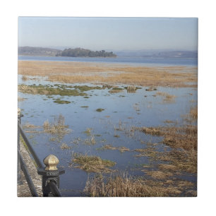 Azulejo Cerâmico Morecambe Bay High Tide