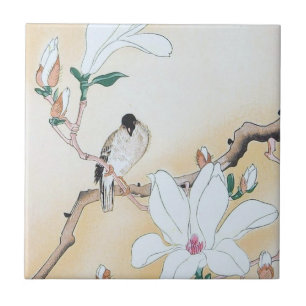 Azulejo cerâmico pequeno (4,25" x 4,25")