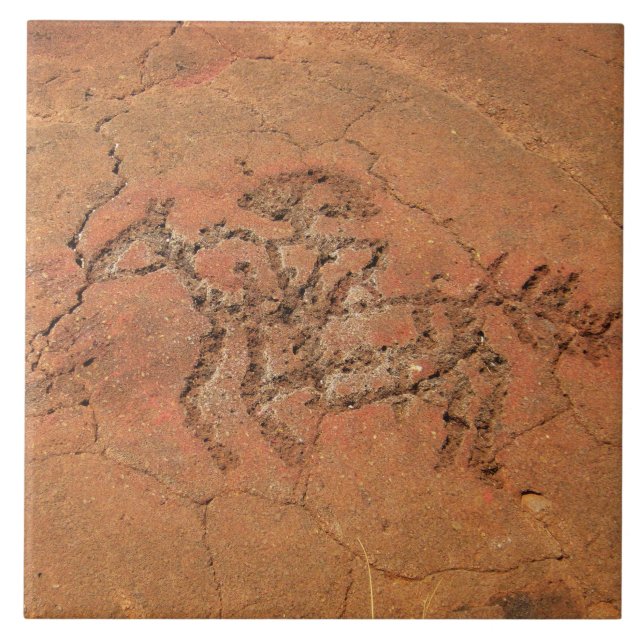 Azulejo Cerâmico Petroglicph Sudoeste (Frente)