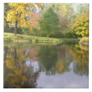 AZULEJO CERÂMICO/POND/ÁRVORES BUCOLIC REFLETIDOS/F