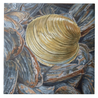 Azulejo cerâmico Quahog e Clams