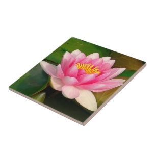AZULEJO CERÂMICO/SANGUE DO LOTUS