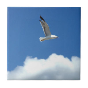 Azulejo cerâmico Seagull