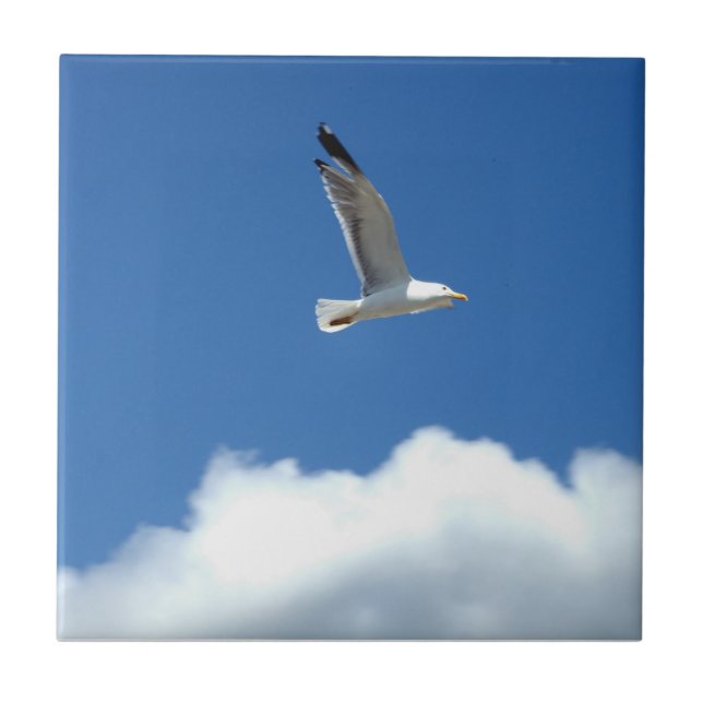 Azulejo cerâmico Seagull (Frente)