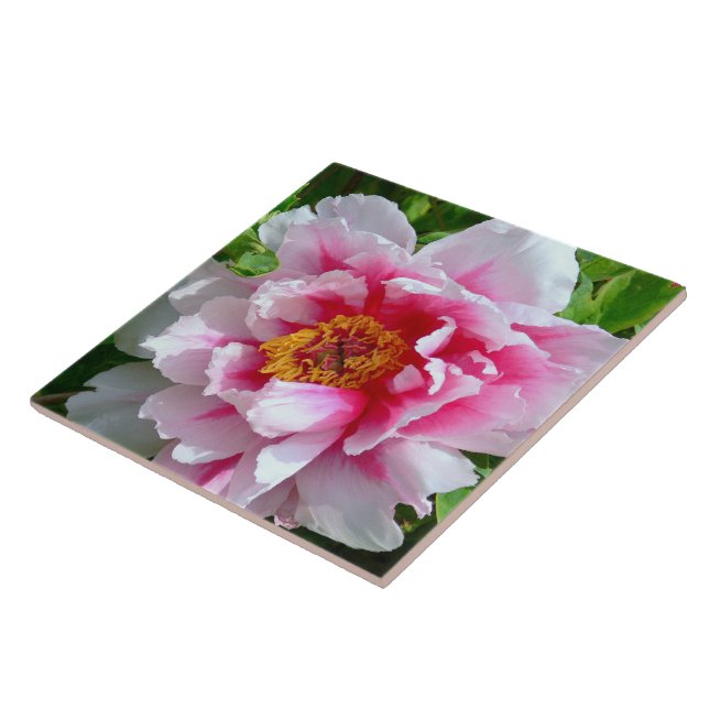 AZULEJO CERÂMICO/TINTA DE ROSA E PESSOA BRANCA (Lateral)