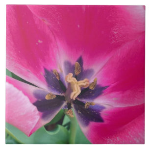 Azulejo Cerâmico Tulip Rosa