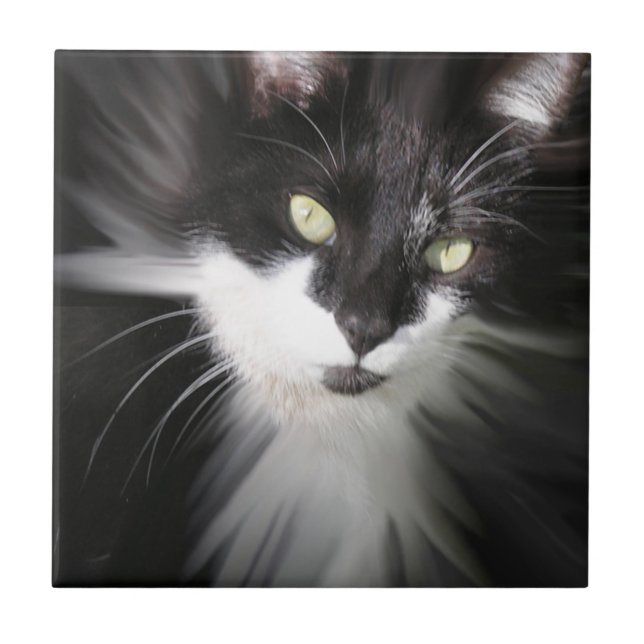 Azulejo Cerâmico Tuxedo Cat (Frente)