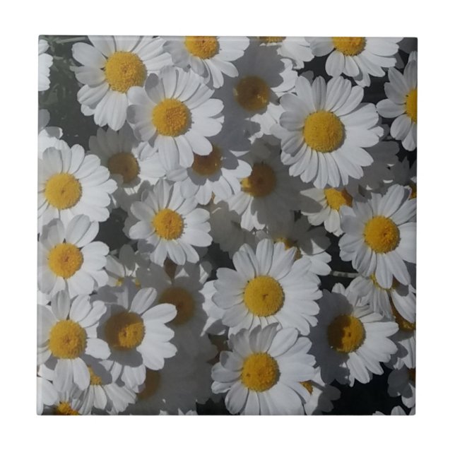 Azulejo cerâmico White Daisies (Frente)