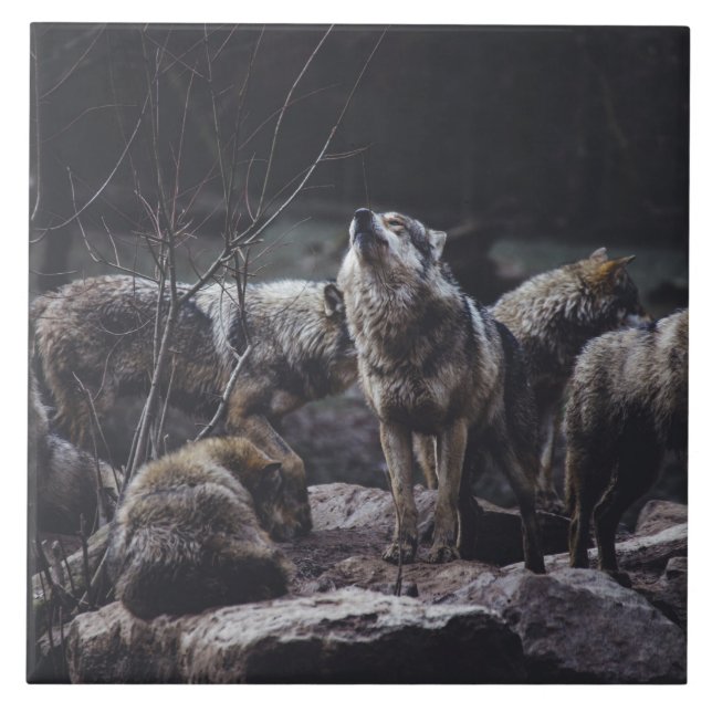 Azulejo Cerâmico Wolf Pack (Frente)
