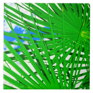 Azulejo Céu Palm Cerâmica