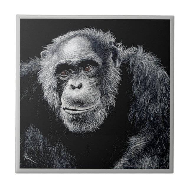 Azulejo chimp - "Jacob" (Frente)