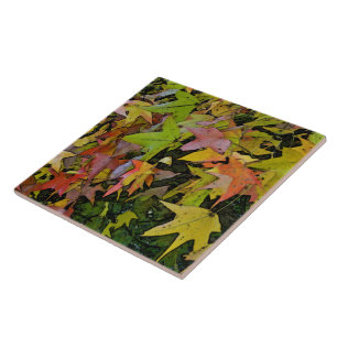 AZULEJO /COLORFUL, FOLHAS QUASE ESTRELA-DADAS