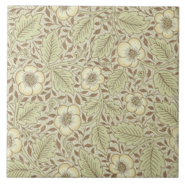 Azulejo com design do papel de parede por William