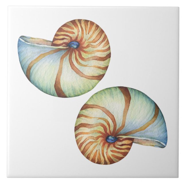 Azulejo - Conchas do Mar (Frente)