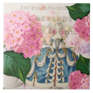 Azulejo cor-de-rosa do Hydrangea de Marie
