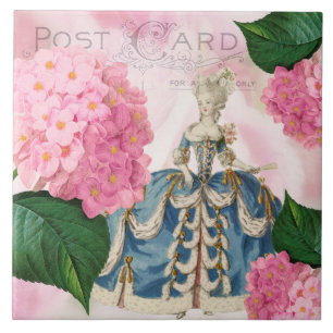 Azulejo cor-de-rosa do Hydrangea de Marie