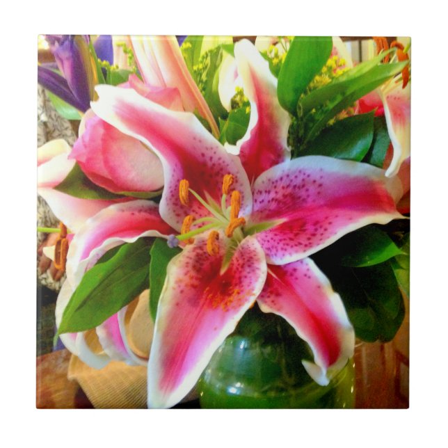 azulejo cor-de-rosa do lírio do stargazer (Frente)