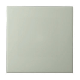 Azulejo Cor Verde Sage Chá Leve
