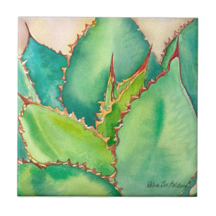 Azulejo da agave por Debra Lee Baldwin
