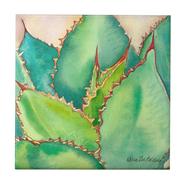 Azulejo da agave por Debra Lee Baldwin (Frente)