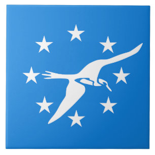 Azulejo da bandeira da cidade de Corpus Christi