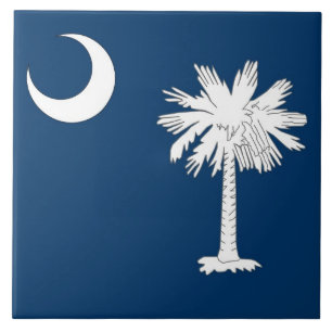 Azulejo da bandeira do estado de South Carolina